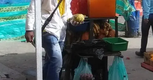 PUESTO VENTA DE SALPICON SEPTIMA CON 11 PUESTO VENTA DE SALPICON SEPTIMA CON 11